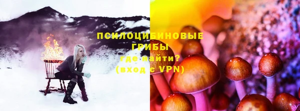 шишки Иннополис