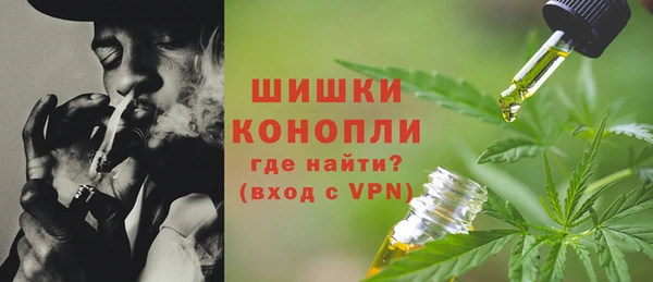 СК Инта