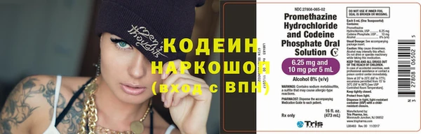 шишки Иннополис