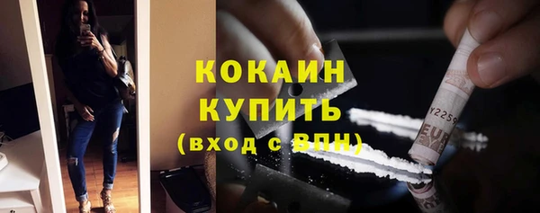 шишки Иннополис