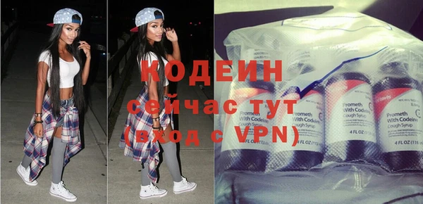 шишки Иннополис