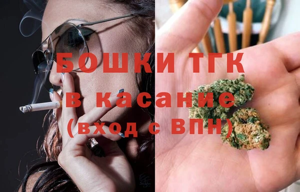 СК Инта