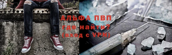 шишки Иннополис