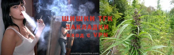 СК Инта