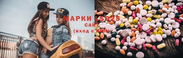 СК Инта