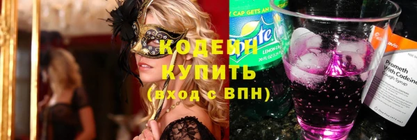 СК Инта