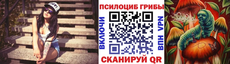 продажа наркотиков  Нефтекамск  Галлюциногенные грибы GOLDEN TEACHER 